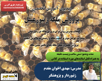 ویدیوی آموزش تخصصی پرورش ملکه زنبور عسل
